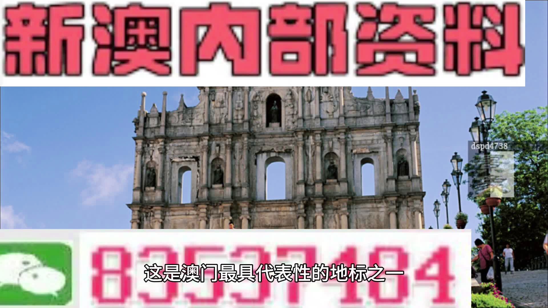 2024新澳开奖记录,决策信息解释_优雅版50.467