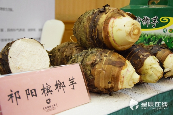 最新槟榔芋采购价更新，吃货们必看！