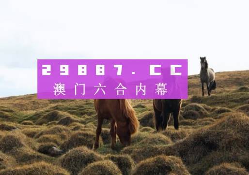 ＂新澳门开奖结果2025开奖记录＂的：全面信息解释定义_图形版5.17