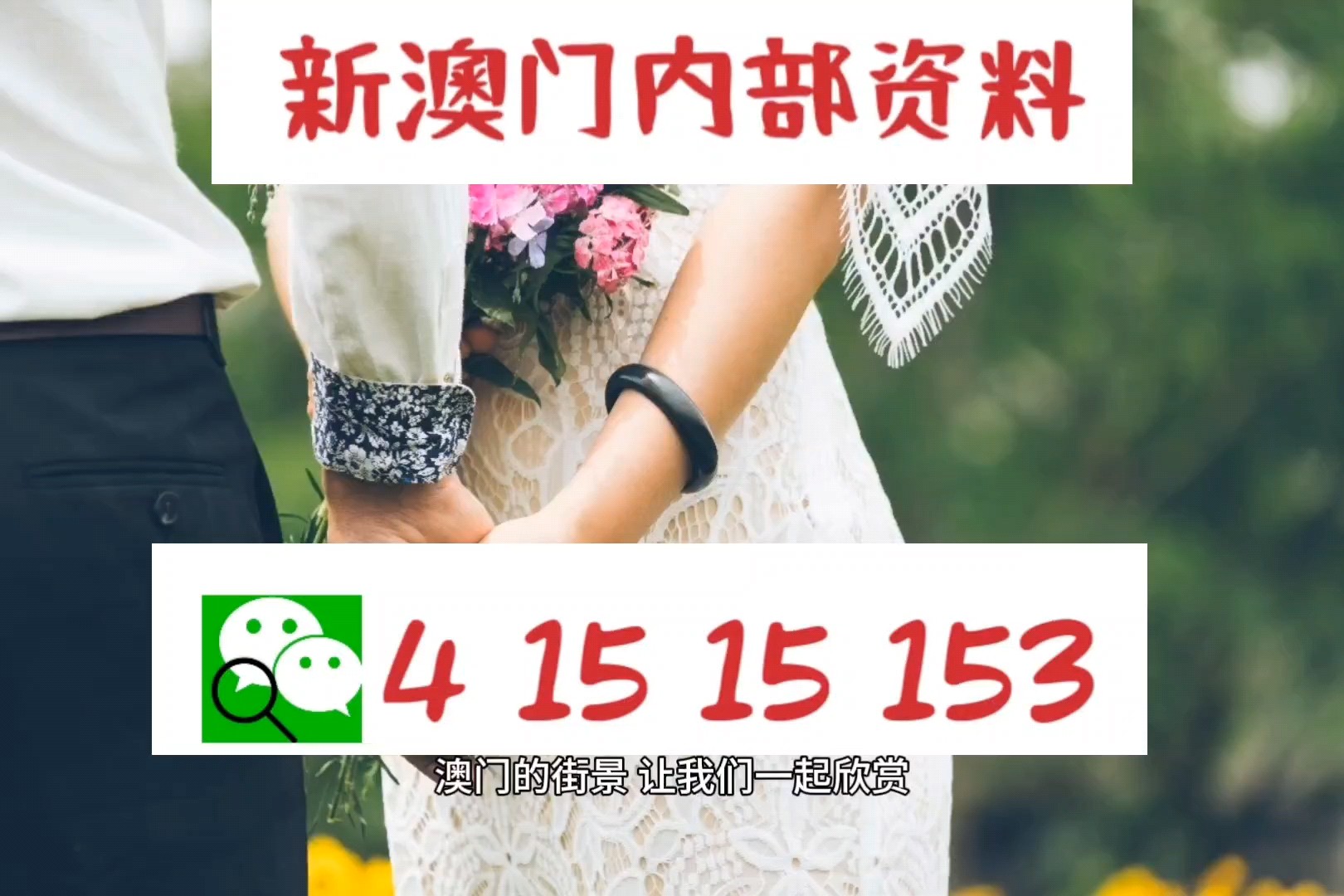 新澳2025今晚开奖资料四不像,详细数据解读_直观版38.507