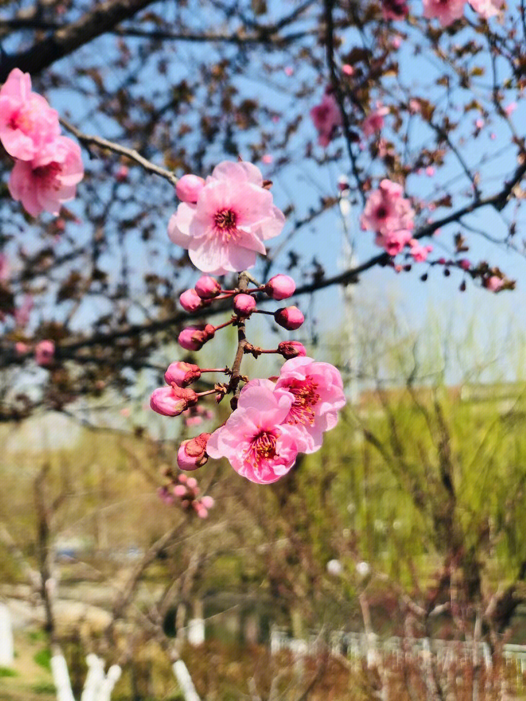 精装房验房详细步骤 第118页