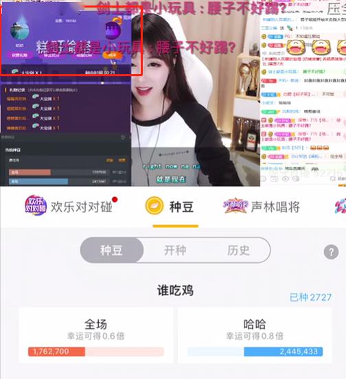 最新双飞直播，自信起航，展翅梦想之翼